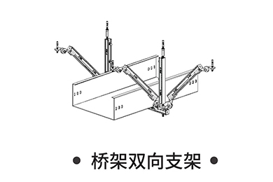 �ż�˫��֧��